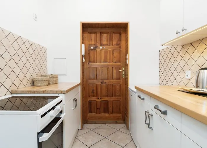 Bright And Cosy In By Renters Apartment *