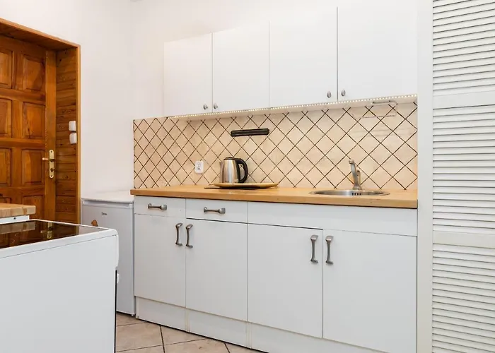 Bright And Cosy In By Renters Apartment *